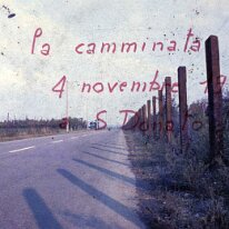 cammi003