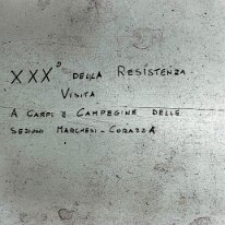 carpi003