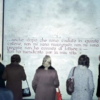 carpi009