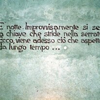 carpi010
