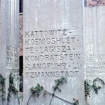 carpi012