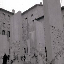 carpi013