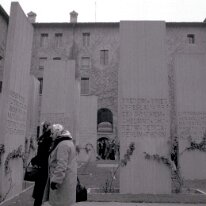carpi014