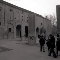 carpi015