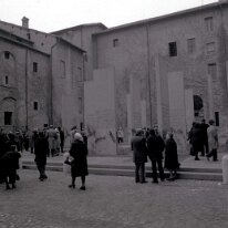 carpi018