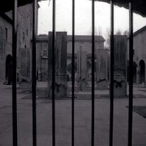 carpi019