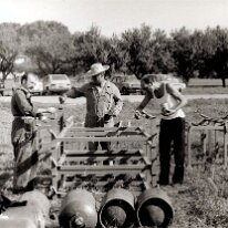 1979-11-Cane 1979 - Preparazione degli Stand. A destra Ivano Cane'