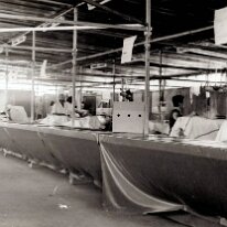 1979-6 1979 - La distribuzione
